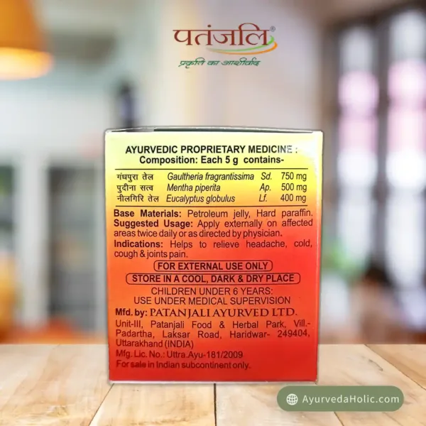 Patanjali Balm 25gm | Ayurveda Holic