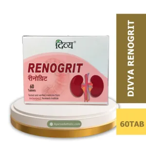 DIVYA RENOGRIT (60TAB) - PATANJALI | AYURVEDA HOLIC