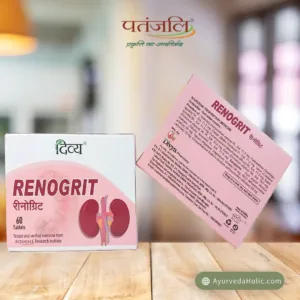 DIVYA RENOGRIT (60TAB) - PATANJALI | AYURVEDA HOLIC