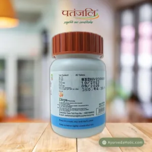 Divya Dengunil Vati | Ayurveda Holic