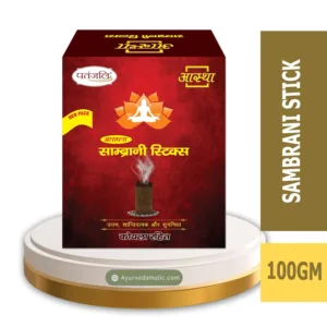 AASTHA SAMBRANI STICK 100GM