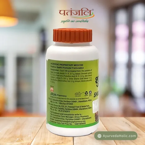 DIVYA SHUDDHI CHURNA (100 GM)-PATANJALI|AYURVEDA HOLIC