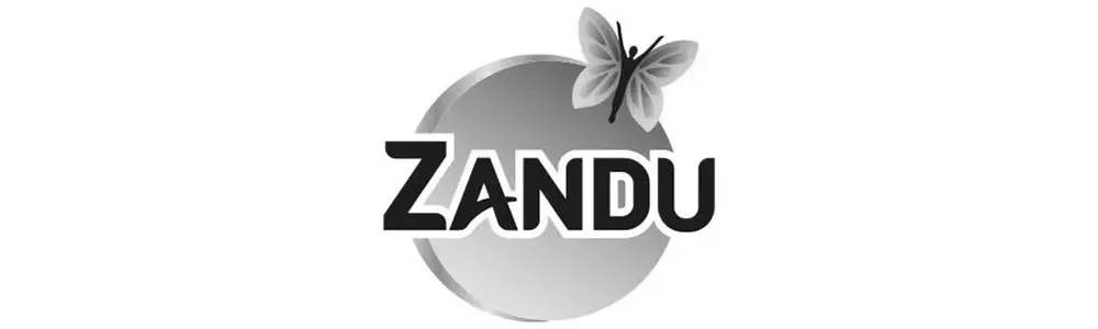 zandu logo bnw | ayurveda holic