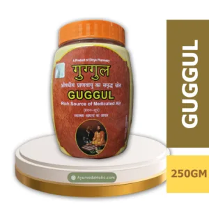 PATANJALI AASTHA GUGGAL 250GM AYURVEDA HOLIC