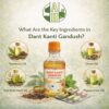 What are the key ingredients in dant kanti gandush?
