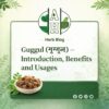 Guggul (गुग्गुल) – Introduction, Benefits and Usages