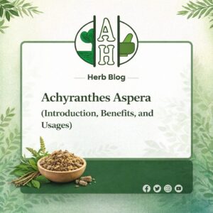 Achyranthes Aspera