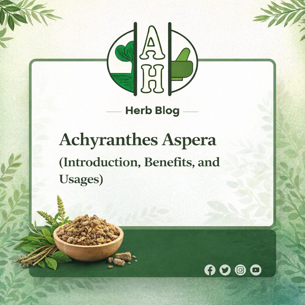 Achyranthes Aspera