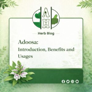 अडूसा: (Adoosa: Introduction, Benefits and Usages)