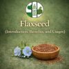 Flaxseed (Introduction, Benefits, and Usages)