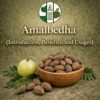 Amalbedha (Introduction, Benefits, and Usages)