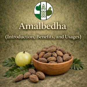 Amalbedha (Introduction, Benefits, and Usages)