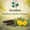 Amaltas (Introduction, Benefits, and Usages)