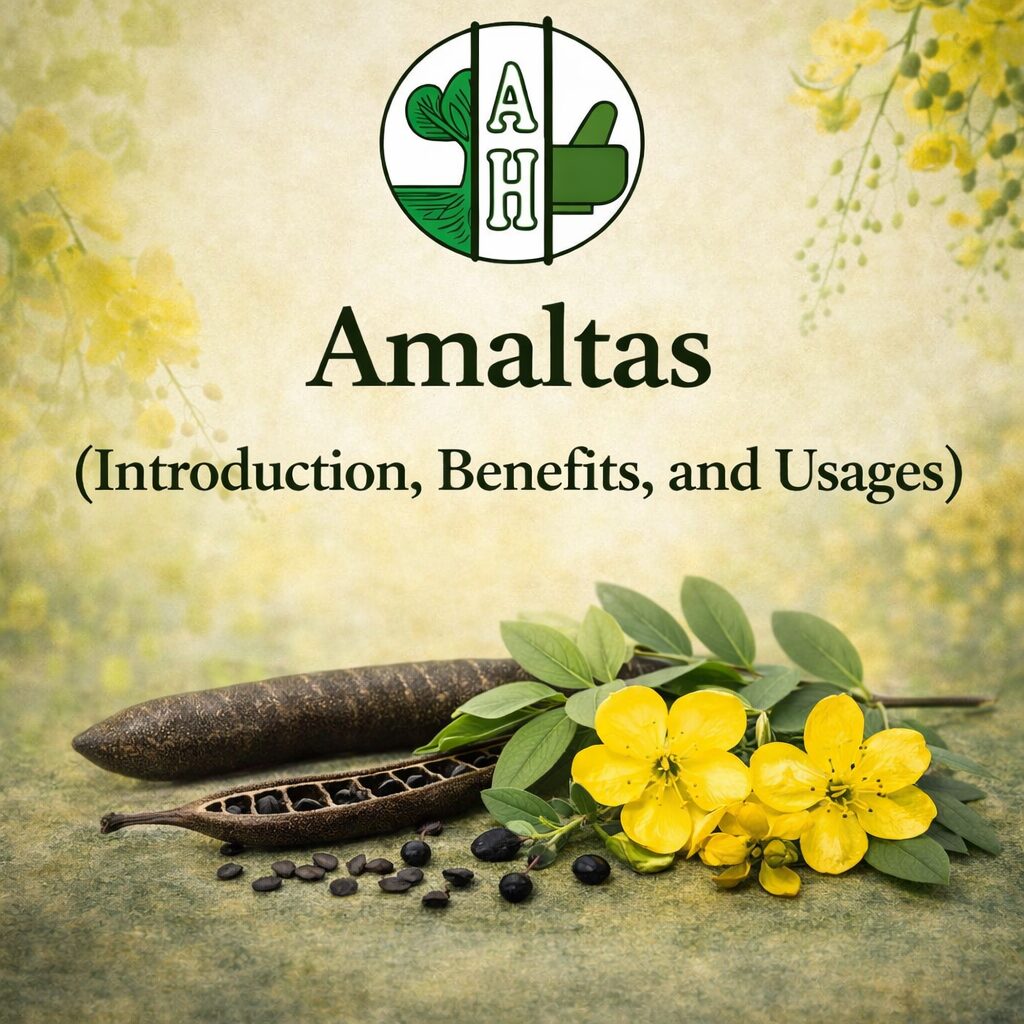 Amaltas (Introduction, Benefits, and Usages)