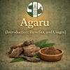 Agaru (Introduction, Benefits, and Usages)