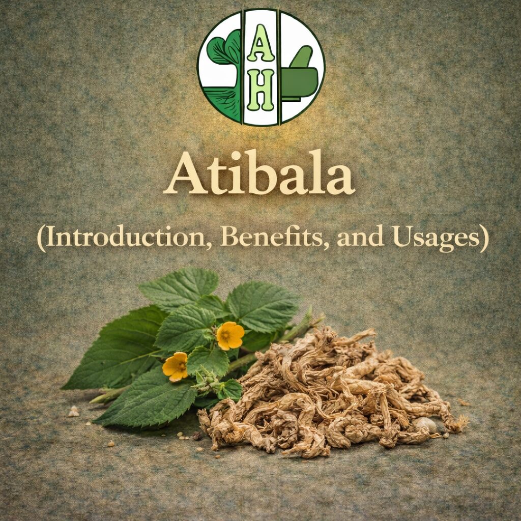 Atibala (Introduction, Benefits, and Usages)