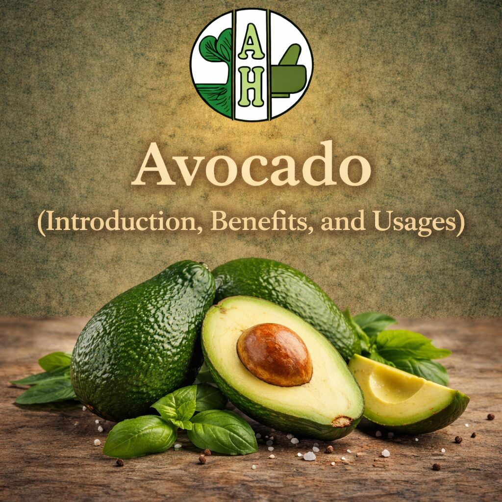 Avocado (Introduction, Benefits, and Usages)