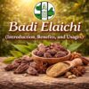 Badi Elaichi (Introduction, Benefits, and Usages)