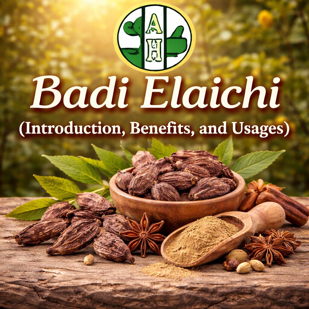 Badi Elaichi (Introduction, Benefits, and Usages)