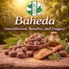 Baheda (Introduction, Benefits, and Usages)