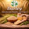 Barley: Introduction, Benefits, and Usages