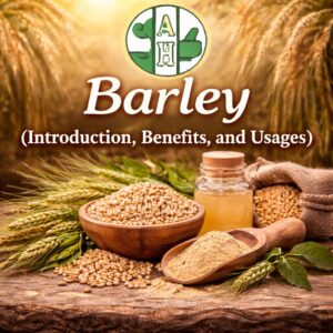Barley: Introduction, Benefits, and Usages