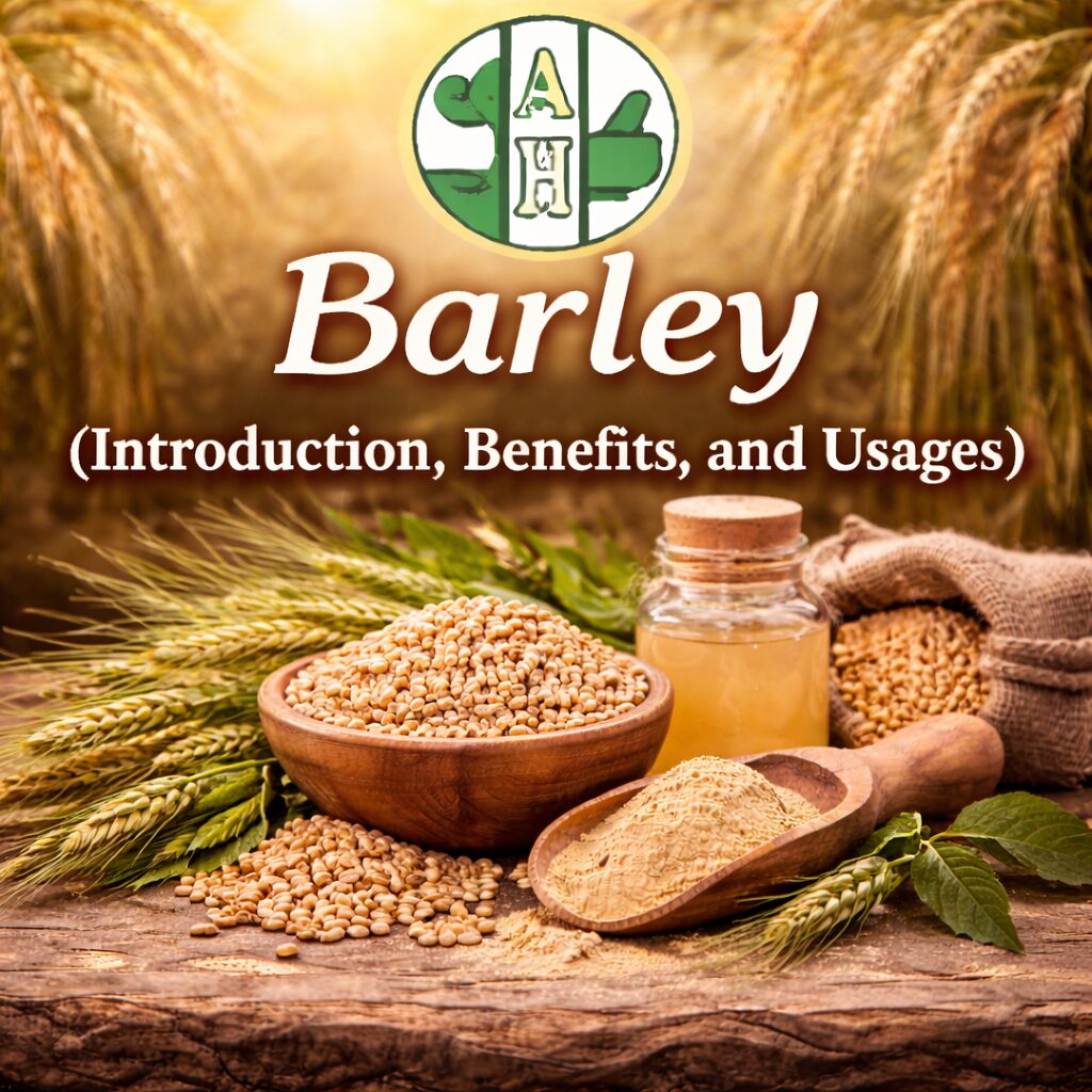 Barley: Introduction, Benefits, and Usages