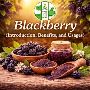 Blackberry (Introduction, Benefits, and Usages)