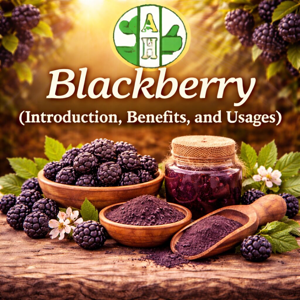 Blackberry (Introduction, Benefits, and Usages)