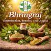 Bhringraj (Introduction, Benefits, and Usages)