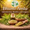 Bhumi Amla (Introduction, Benefits, and Usages)