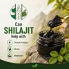 Can Shilajit Help with Chronic Fatigue, Stress & Weakness?