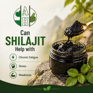 Can Shilajit Help with Chronic Fatigue, Stress & Weakness?