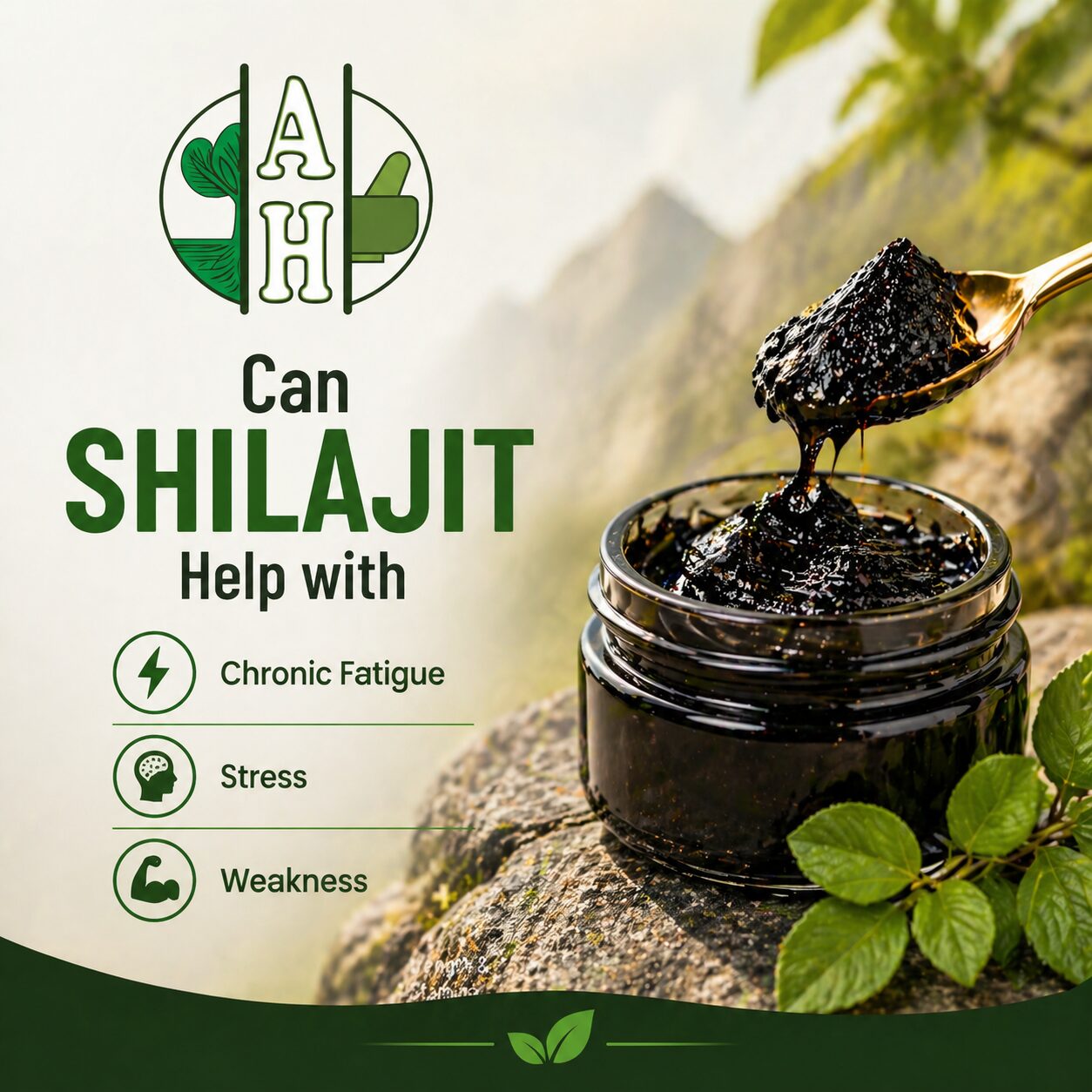 Can Shilajit Help with Chronic Fatigue, Stress & Weakness?