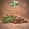 Arjuna (Introduction, Benefits, and Usages)