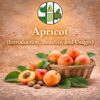 Apricot (Introduction, Benefits, and Usages)