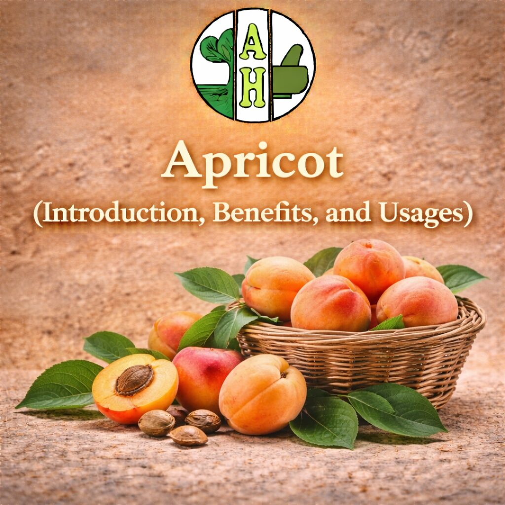 Apricot (Introduction, Benefits, and Usages)
