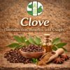 Clove (Introduction, Benefits, and Usages)