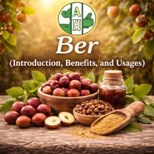 Ber: Introduction, Benefits, and Usages