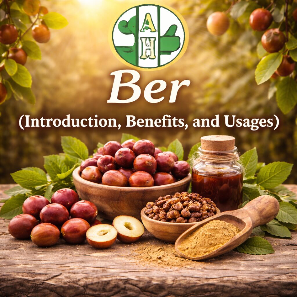 Ber: Introduction, Benefits, and Usages