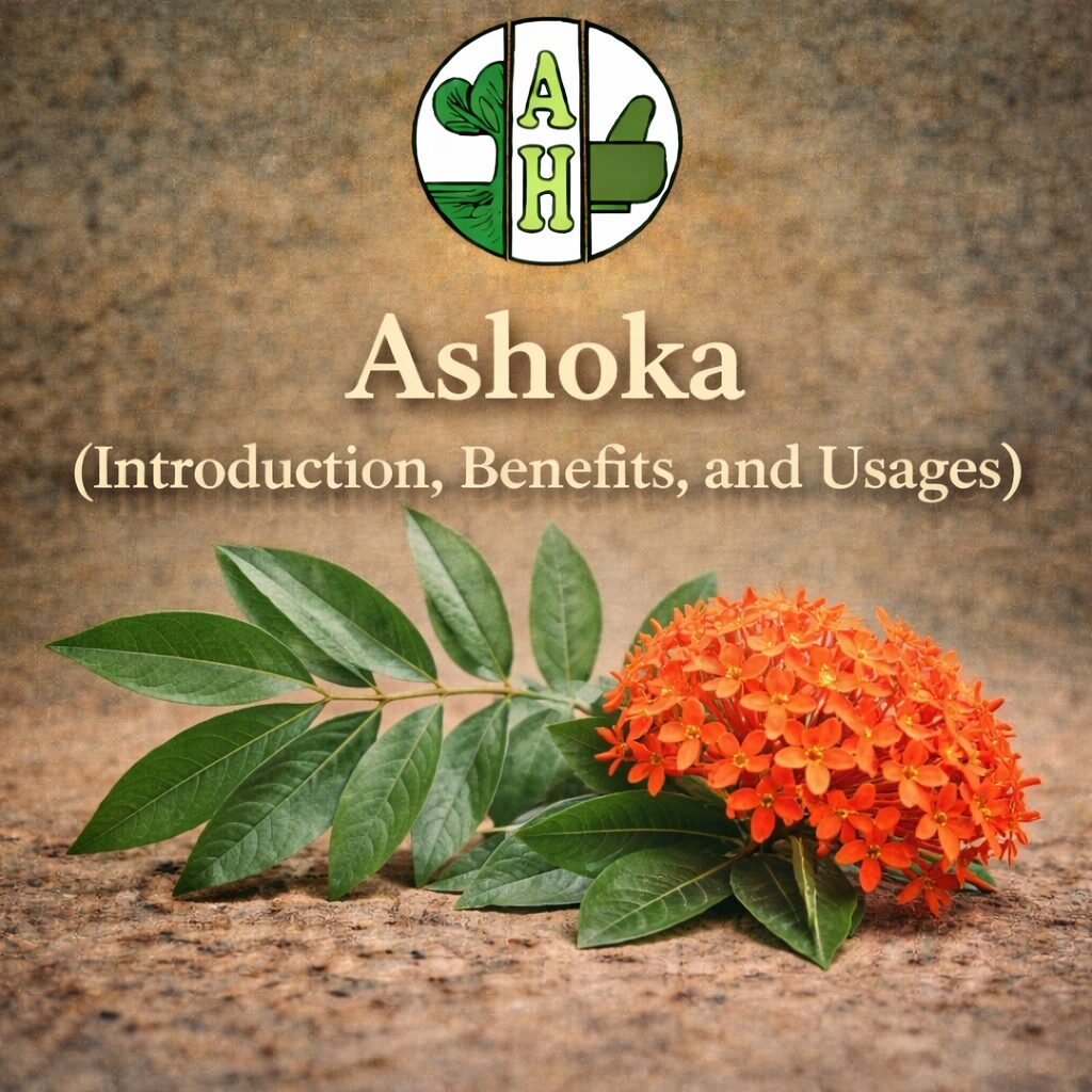 Ashoka (Introduction, Benefits, and Usages)