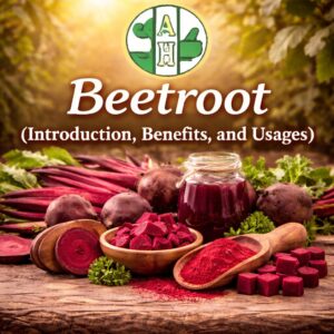 Beetroot: Introduction, Benefits, and Usages
