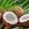 Coconut