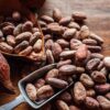 cocoa