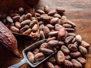cocoa