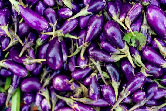Brinjal