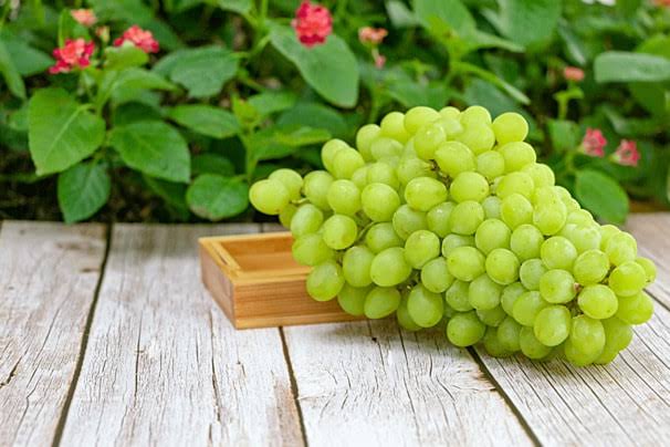 Grapes