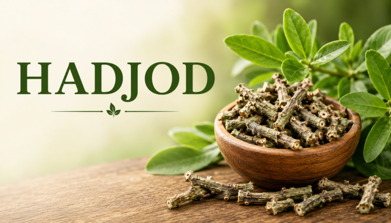 ChatGPT Image Aug 16 2026 09 10 56 PM Hadjod (Introduction, Benefits, and Usages)