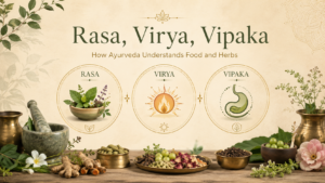 Rasa, Virya, Vipaka: How Ayurveda Understands Food and Herbs